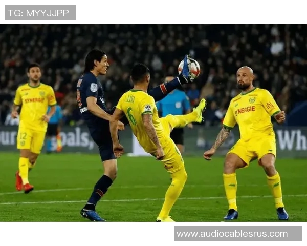 尼斯与南特实力对比分析谁能在比赛中占据上风